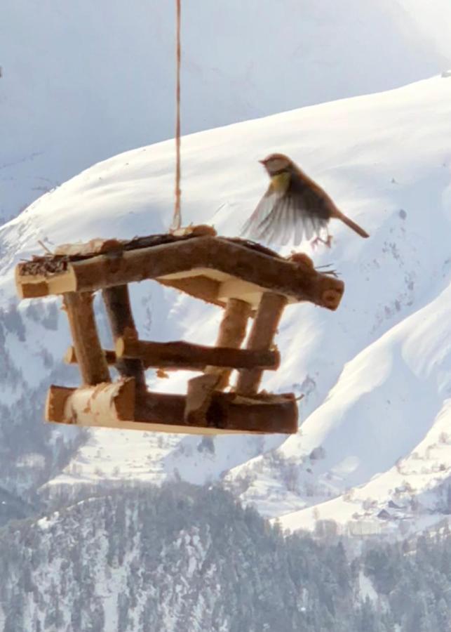 Chalet Lodge Oberig Exclusive Villard-Reculas Exterior foto